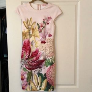Ted baker floral sheath dress